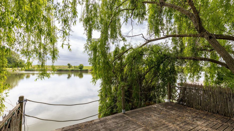 Proprietate deosebita deschidere lac Paradisul Verde Corbeanca - Poză 3