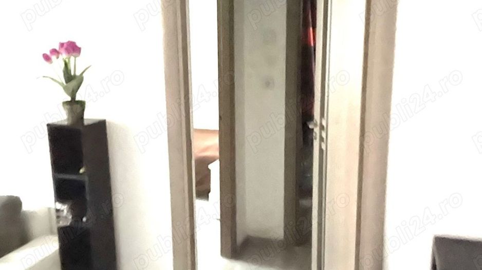 Apartament 2 camere de inchiriat Lacul Tei - Poză 3