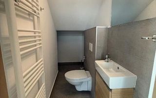 Duplex modern, 110 mp utili, curte 150 mp, mobilat si utilat complet, Europa - Poză 8