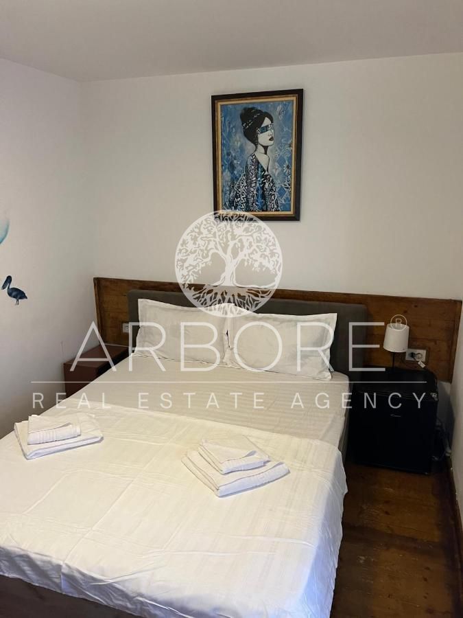 AFACERE PENSIUNE CU 8 CAMERE DE ÎNCHIRIAT - ZONA BĂNEASA - Poză 5