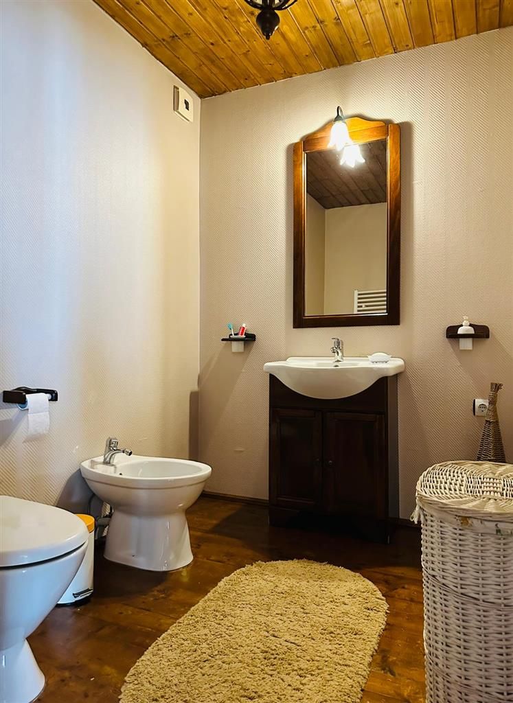 Vila remarcabila+casa boiereasca,in pretios areal de 2.100 mp, Santana de Mures - Poză 14