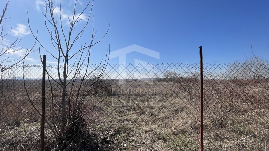 GIULESTI | Teren intravilan PUZ V3a2 9000mp ideal terenuri de sport - Poză 5