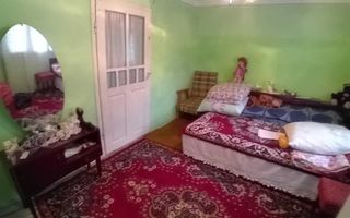 Casă cu grădină și anexe în Hoișești, la 20 minute de Iași - Poză 7