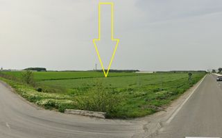 Teren Intravilan 4,5 ha – Poziție Strategică vis-à-vis de Aeroportul MK - Poză 5