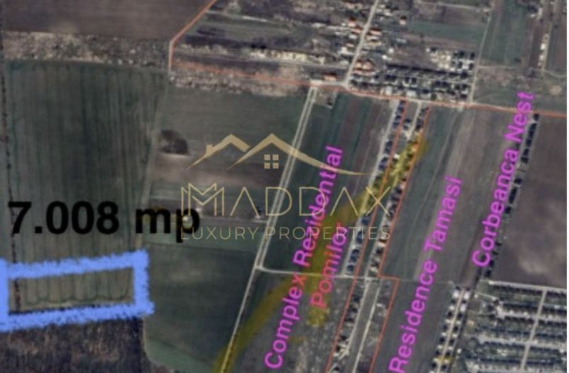 Teren Extravilan **7008 mp**Zona rezidentiala//Tamasi//Corbeanca - Poză 3