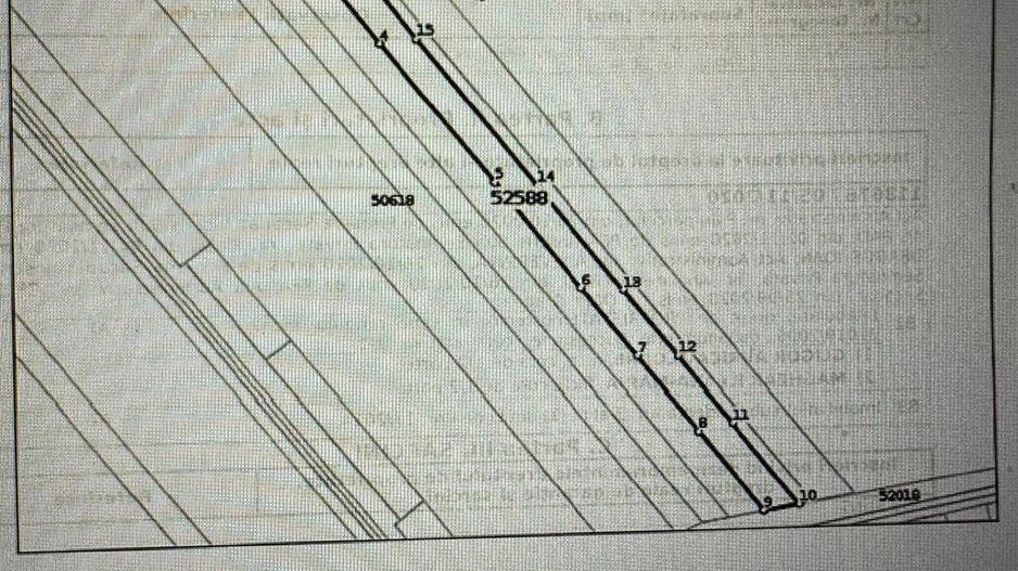Teren, 14 386, Sacadat - Coca Cola, acces din DN1. 9 E/mp. Comision 0. - Poză 5
