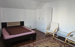 Casă / Vilă cu 8 camere de vânzare în Manastur, Cluj-Napoca - Poză 15