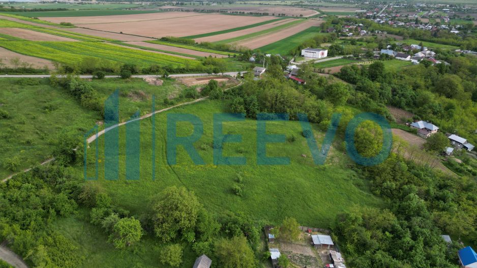 Teren de vânzare, Com. Racova, Str. Bradului, Bacău - Poză 4