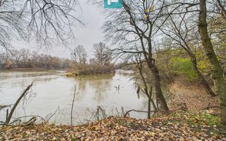 Teren spectaculos la  Periam Port - Poză 4