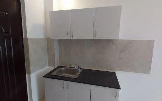 Garsonieră Piața Nicolina, Etaj 1, 17 mp, 37.500 Euro - Poză 4