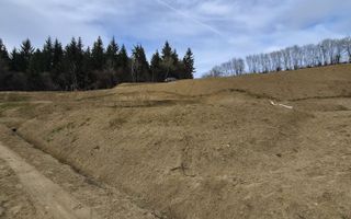 Teren 5930 mp- 1,4 km centru- investitie, cabana in natura - Poză 1