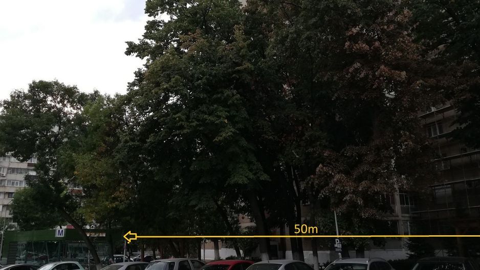 Drumul Taberei - Metrou Raul Doamnei - Poză 7