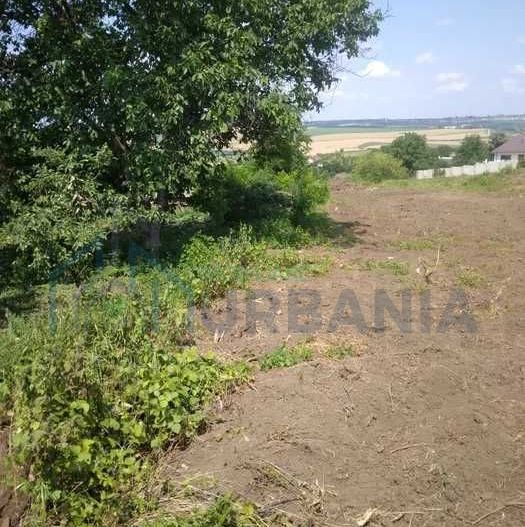 Teren Intravilan de Vanzare in Dancas / Horpaz, Comuna Miroslava - Utilitati Complete, Plata in Rate - Poză 2