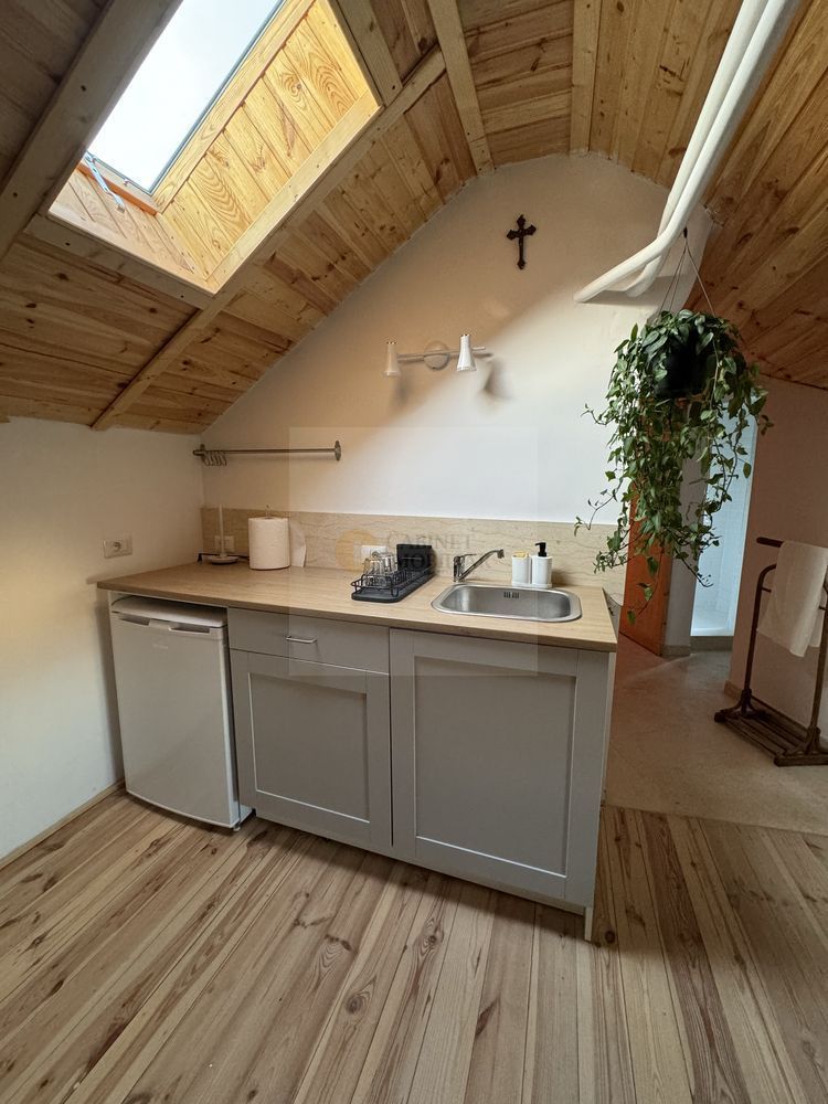 R1  | Studio  | Parcul Cismigiu - Poză 1