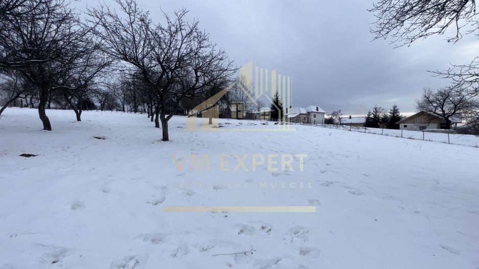 CASĂ 4 CAMERE TEREN 3038 MP ALBEȘTII  DE MUSCEL - Poză 21