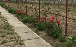 Casa de vanzare/Balcesti/Valcea/Str Pietii - Poză 21