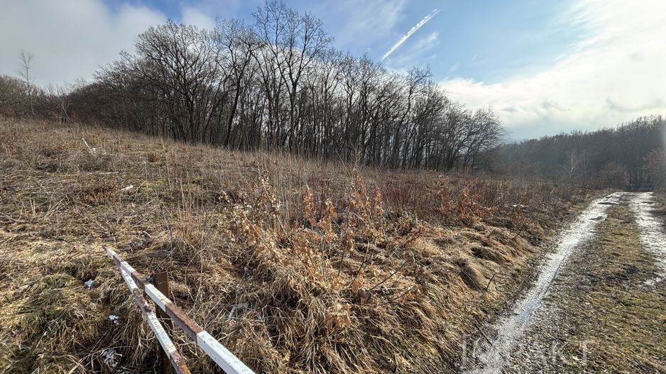 De vânzare două parcele de 3752 mp împreună- zona Făget - Poză 1