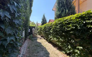Casă de închiriat- zona Ștrand - Poză 45