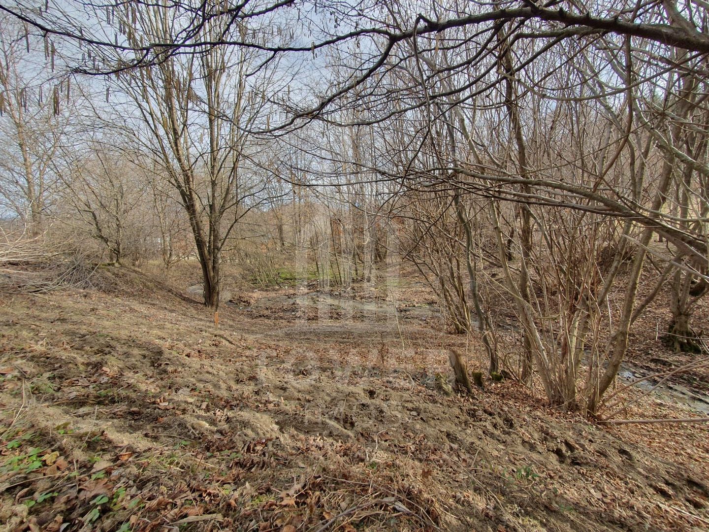 Teren Intravilan 2.938 mp | Tocile - Poză 5