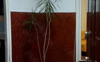 3 camere de vânzare, Titan - Auchan, zonă liniștită L331 - Poză 4