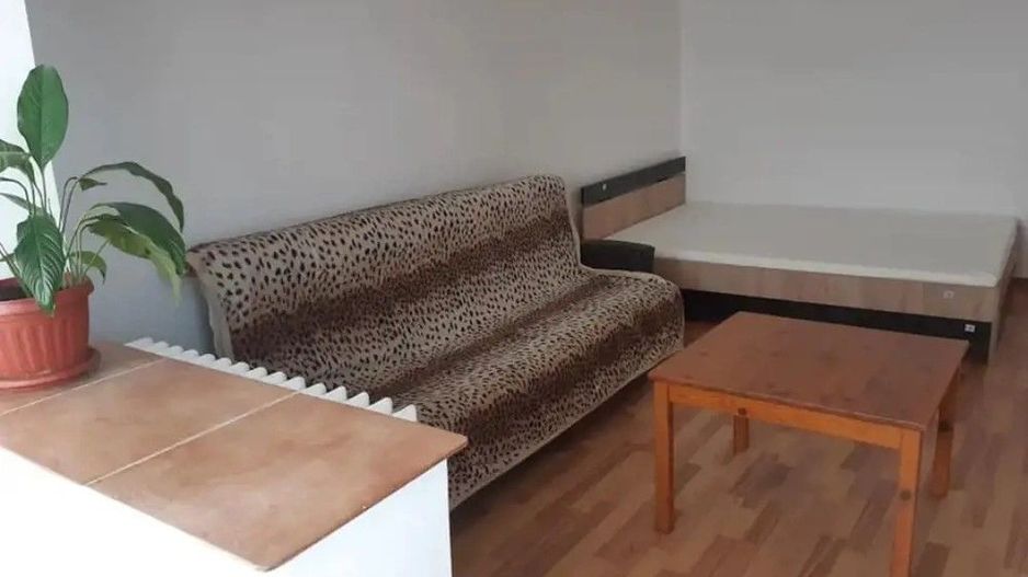 Apartament 1 camera zona Buziasului - Poză 3