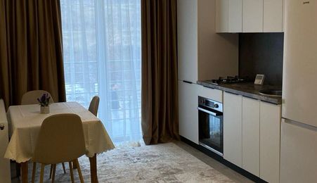 Inchiriere ap. 2 camere, open-space, Bucium-Visan, prima inchiriere