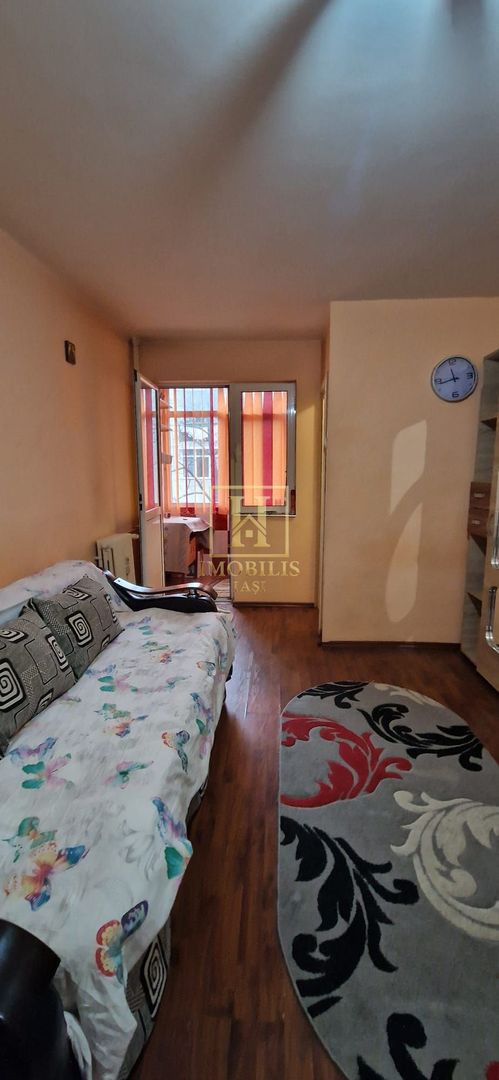 Garsoniera 24 mp Alexandru cel Bun Posta 250 euro - Poză 3