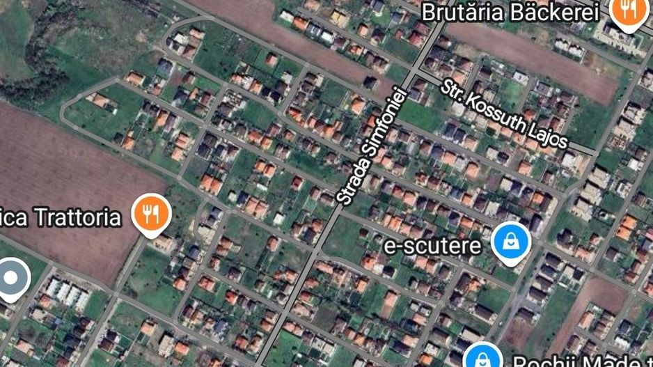 Teren 10150mp in Dumbravita - Poză 2