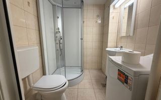 Garsoniera de inchiriat, Zona Milea - Poză 6