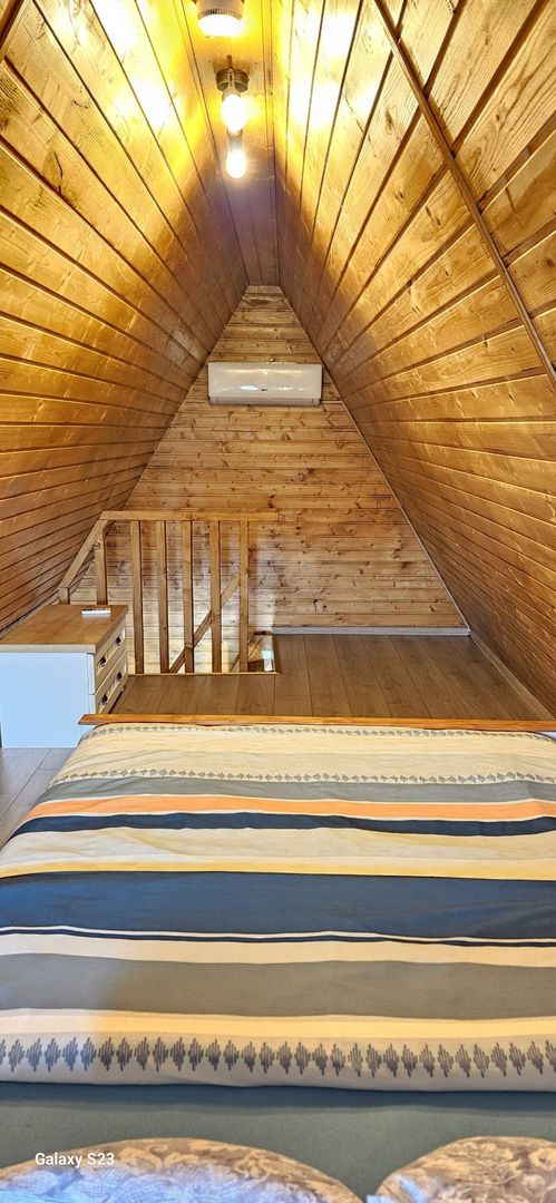 Complex din casa noua si 3 cabane, piscina încalzita 6600 mp teren - Poză 3