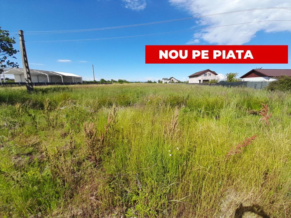 Teren intravilan Bradu 1312 mp 2 deschideri - Poză 1