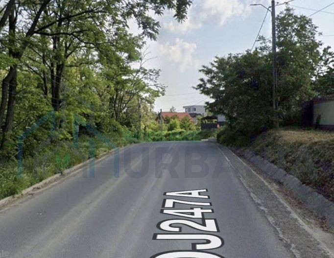 Teren pădure 3650 mp cu deschidere 42 m la Șos. Bârnova, ideal investiție pe termen mediu și lung - Poză 2