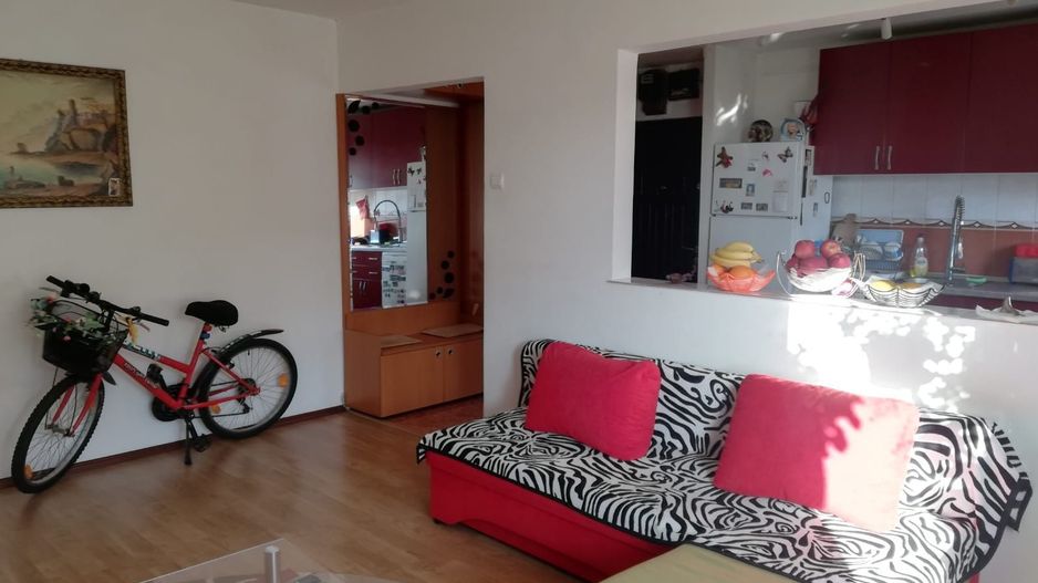 Apartament 2 camere Buziasului - Poză 3