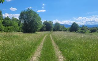 Teren 8000 mp I Intravilan I Utilitati I Vurpar - Poză 2