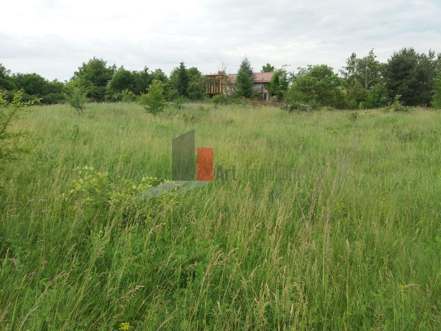 Teren cu iesire la lac - Poză 26