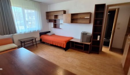 Apartament 2 camere I Parter I Zona Mihai Viteazul