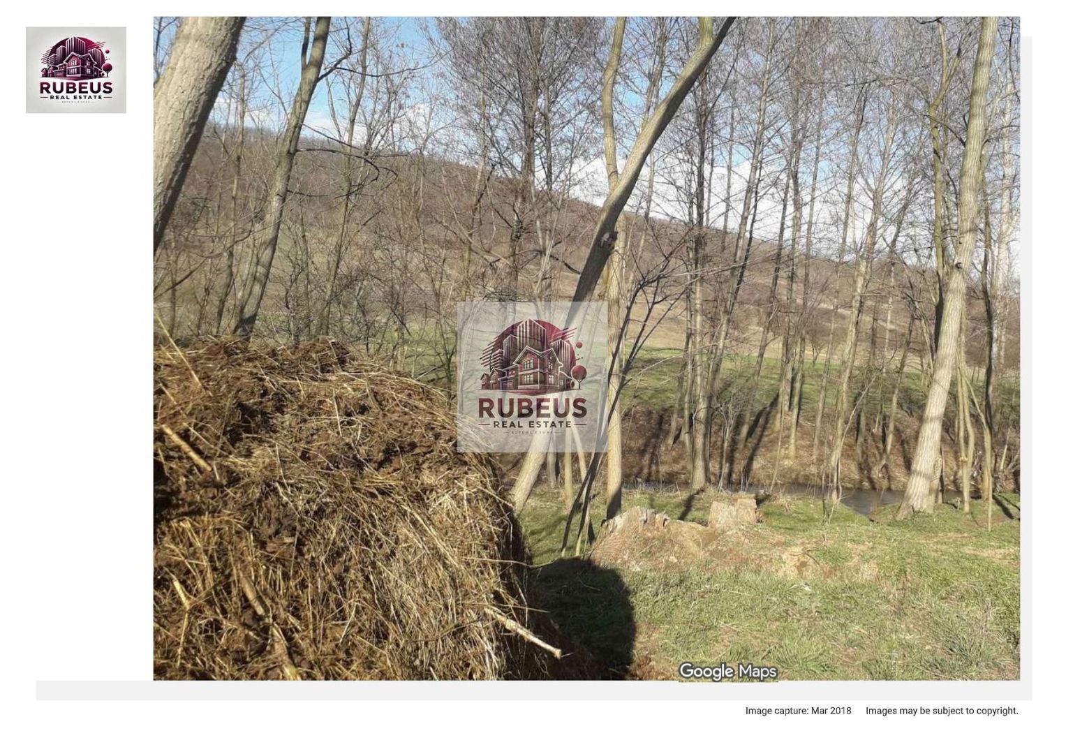 Oportunitate rară! 1 ha pădure Corcova – teren cu potențial real - Poză 4