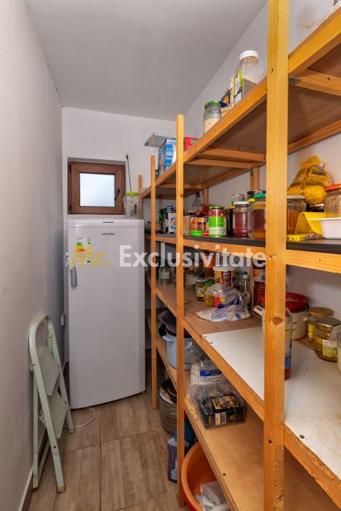 Casa moderna si casa bunicii + 6300 mp teren,Oaza autentica in Corbi Arges- - Poză 21