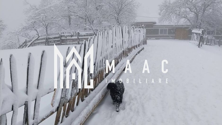 Proprietate cu 60000 mp pamant la pret de apartament - Poză 2