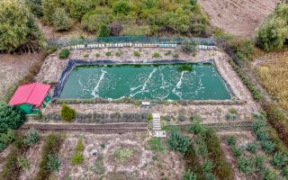 🏡 Mai mult decât o casă: libertatea de a trăi aproape de natură - Poză 4