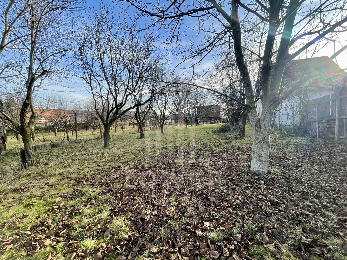 Teren intravilan 1.915 mp + cabană din lemn | Tocile – Sadu - Poză 3