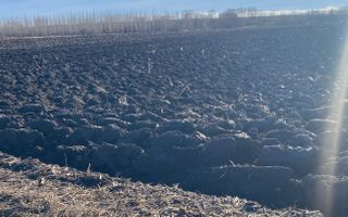 Teren extravilan | Drum Satu Mare | 42Ari - Poză 1