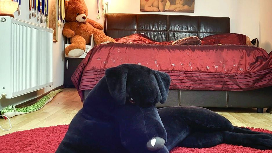 Vila-Timisoara -aleea Ghirodei-comision zero - Poză 3