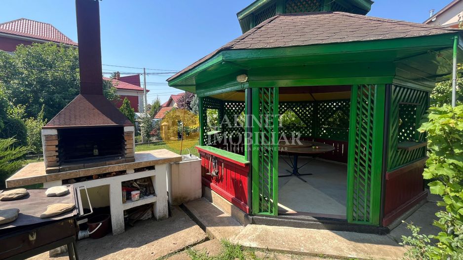 PROPRIETATE EXCLUSIVISTA 390 MP - 2000MP teren Popas Pacurari Garaj Beci - Poză 3