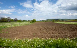 Teren intravilan 4.000 mp Blăgești, Bacău - Poză 11
