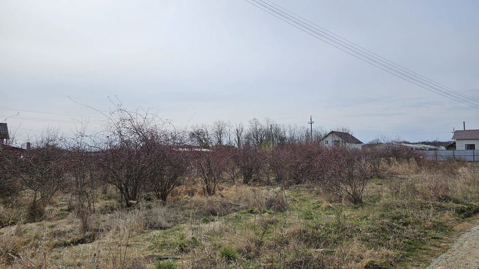 Teren intravilan 882 mp, Smeura - Hintesti - Poză 4