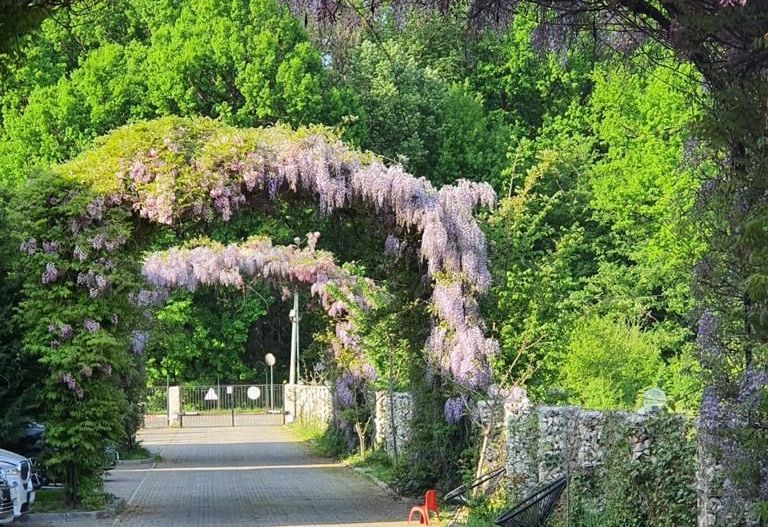 Vila 5 camere Avangarde Forest 4 | Mobilata complet - Poză 47