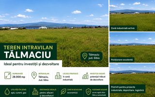 Teren intravilan 28.000 mp Tălmaciu – oportunitate de investiție - Poză 1