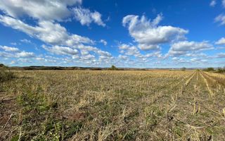 De vânzare teren intravilan – Cristian, Sibiu - Poză 7