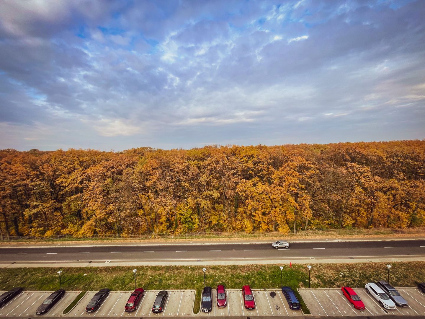 Adora Forest | 2.5 camere | Terasa superba 19 mp | 2 locuri parcare - Poză 2